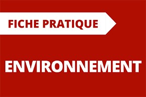 Fiche Pratique Environnement