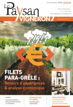 PAYSAN VIGNERON