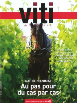 VITI