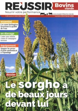 REUSSIR BOVINS VIANDE