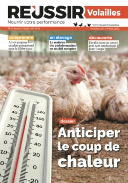REUSSIR VOLAILLES