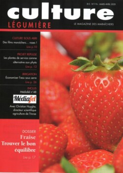 CULTURE LEGUMIERE