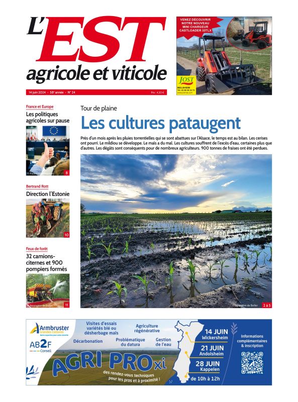 EST AGRICOLE ET VITICOLE