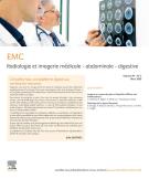 TRAITE RADIOLOGIE ET IMAGERIE MEDICALE ABDOMINALE ET DIGESTIVE