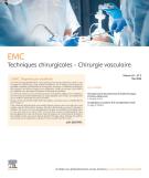 TRAITE TECHNIQUES CHIRURGICALES CHIRURGIE VASCULAIRE